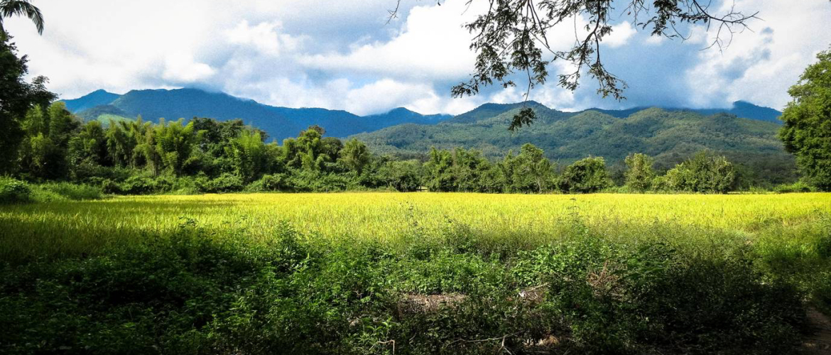 Green Season Mekong Cruises