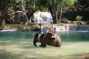 Tad-Sae-Waterfalls-elephant-riding